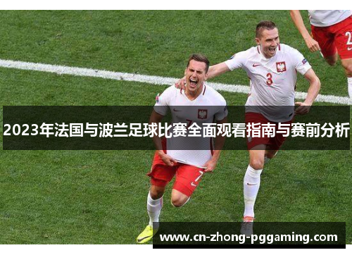 2023年法国与波兰足球比赛全面观看指南与赛前分析