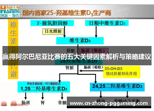 赢得阿尔巴尼亚比赛的五大关键因素解析与策略建议